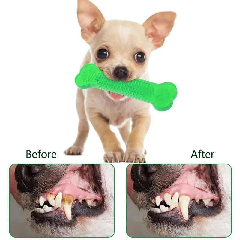 Get trendy with Pet Dental Chew Toy - Pet Accessory available at Hot Trends Online. Shop Now!
