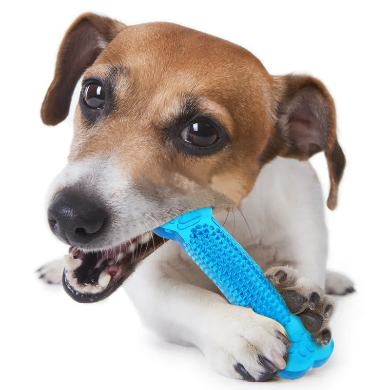 Get trendy with Pet Dental Chew Toy - Pet Accessory available at Hot Trends Online. Shop Now!