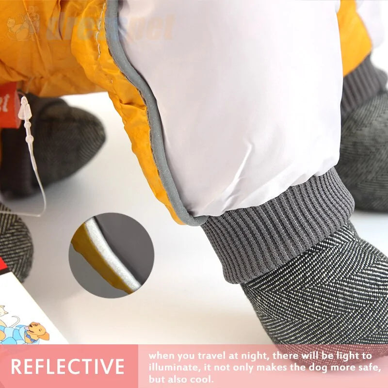 Get trendy with Cozy Pet Jacket - Pet Accessory available at Hot Trends Online. Shop Now!