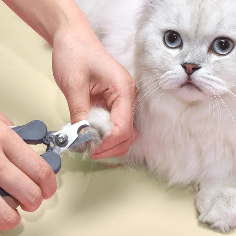 Get trendy with Pet Clipper - Pet Accessory available at Hot Trends Online. Shop Now!
