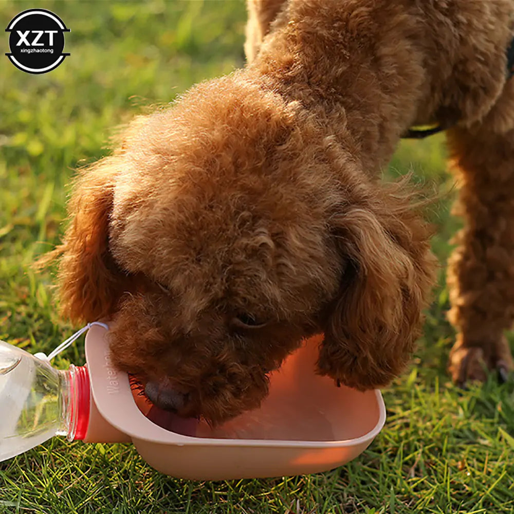 Get trendy with Outdoor Pet Water Bowl - Pet Accessories available at Hot Trends Online. Shop Now!