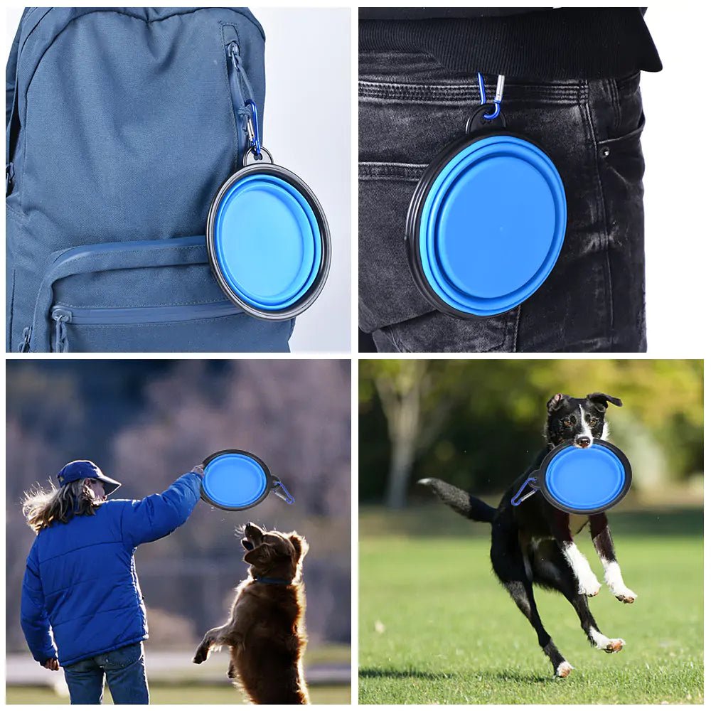 Get trendy with Collapsible Pet Bowl - Pets available at Hot Trends Online. Shop Now!
