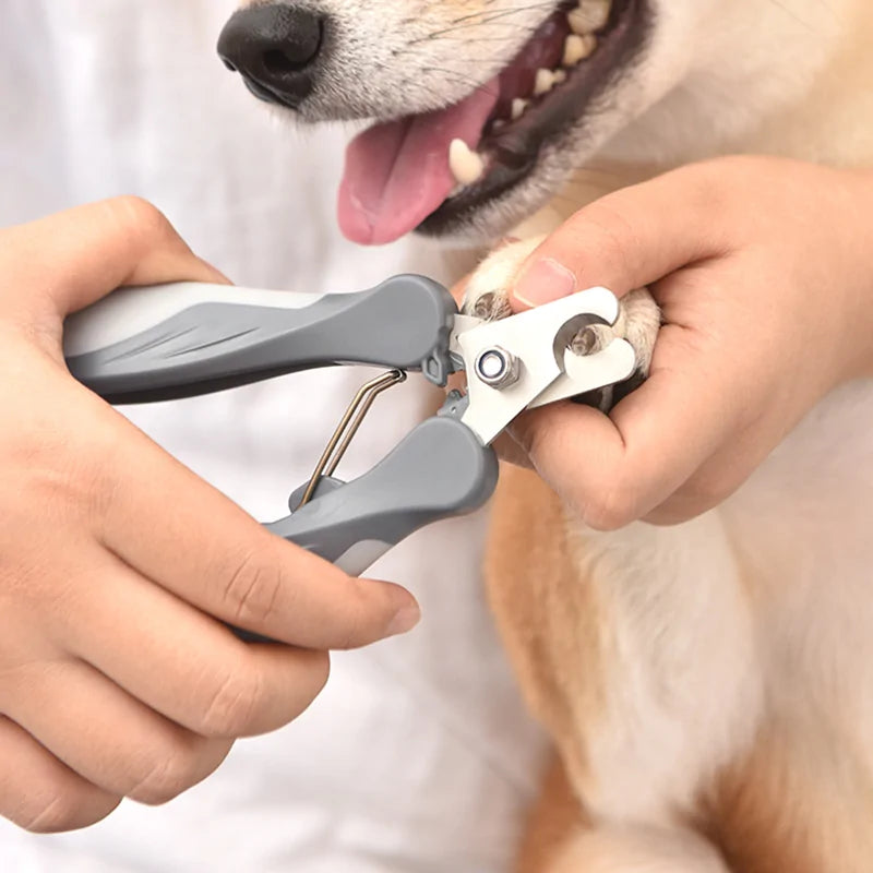 Get trendy with Pet Clipper - Pet Accessory available at Hot Trends Online. Shop Now!