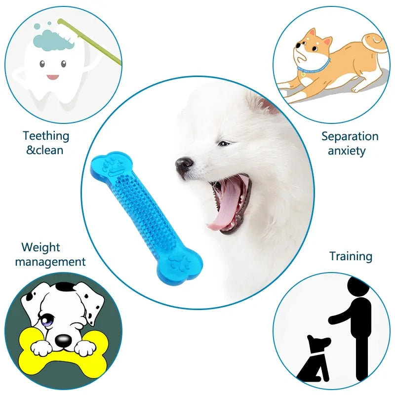 Get trendy with Pet Dental Chew Toy - Pet Accessory available at Hot Trends Online. Shop Now!
