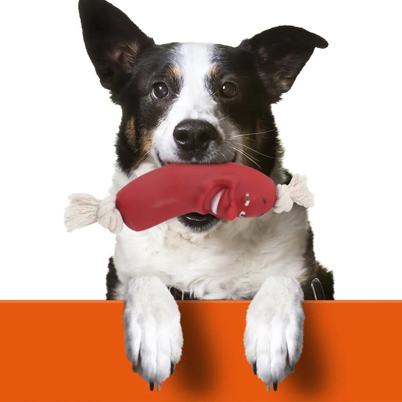 Get trendy with Pet Dental Chew Toy - Pet Accessory available at Hot Trends Online. Shop Now!