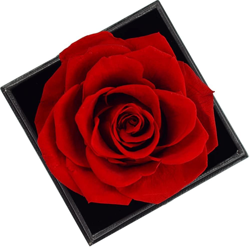 Get trendy with Preserved Flower Rose with I Love You Necklace - Gift available at Hot Trends Online. Shop Now!
