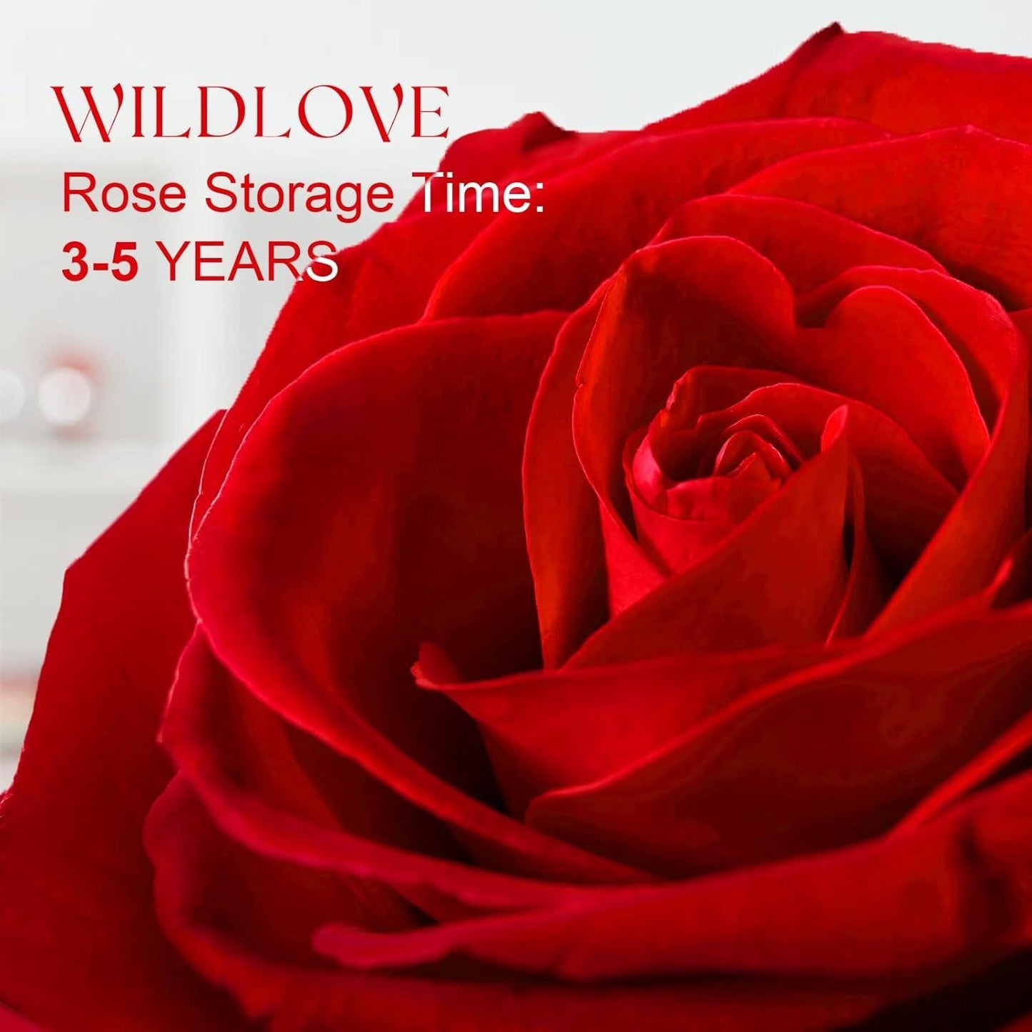 Get trendy with Preserved Real Rose with I Love You Necklace - Necklace available at Hot Trends Online. Shop Now!