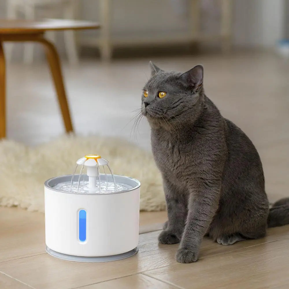 Get trendy with Pet Drinking Fountain Dispenser - Pets available at Hot Trends Online. Shop Now!