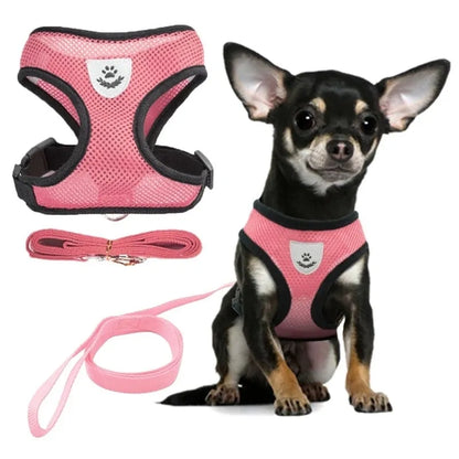 Get trendy with Pet Harness - Pet Accessory available at Hot Trends Online. Shop Now!