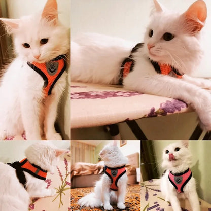 Get trendy with Pet Harness - Pet Accessory available at Hot Trends Online. Shop Now!