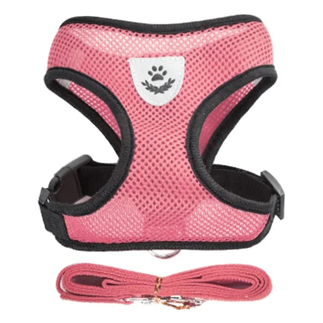 Get trendy with Pet Harness - Pet Accessory available at Hot Trends Online. Shop Now!