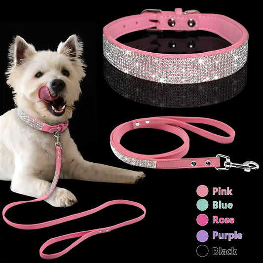 Pet Collar - Hot Trends Online