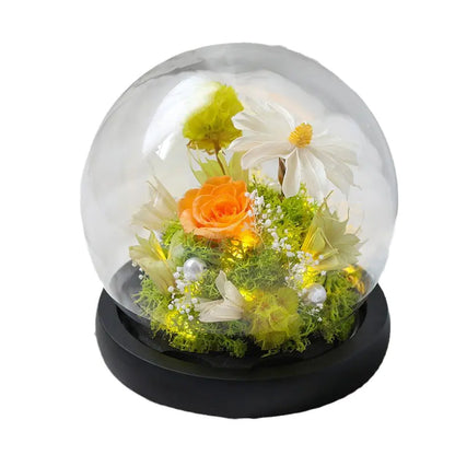 Glass Cover Dried Flower Ornament Gift