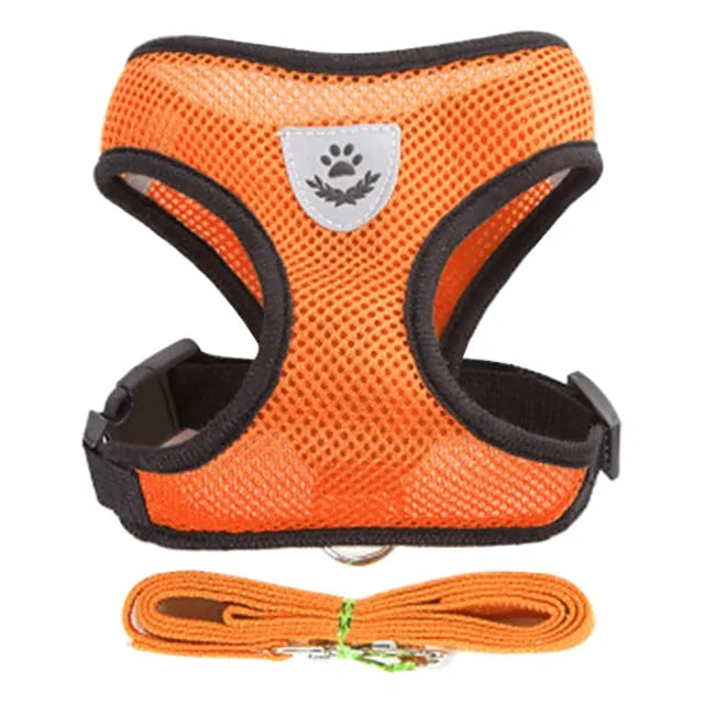 Get trendy with Pet Harness - Pet Accessory available at Hot Trends Online. Shop Now!