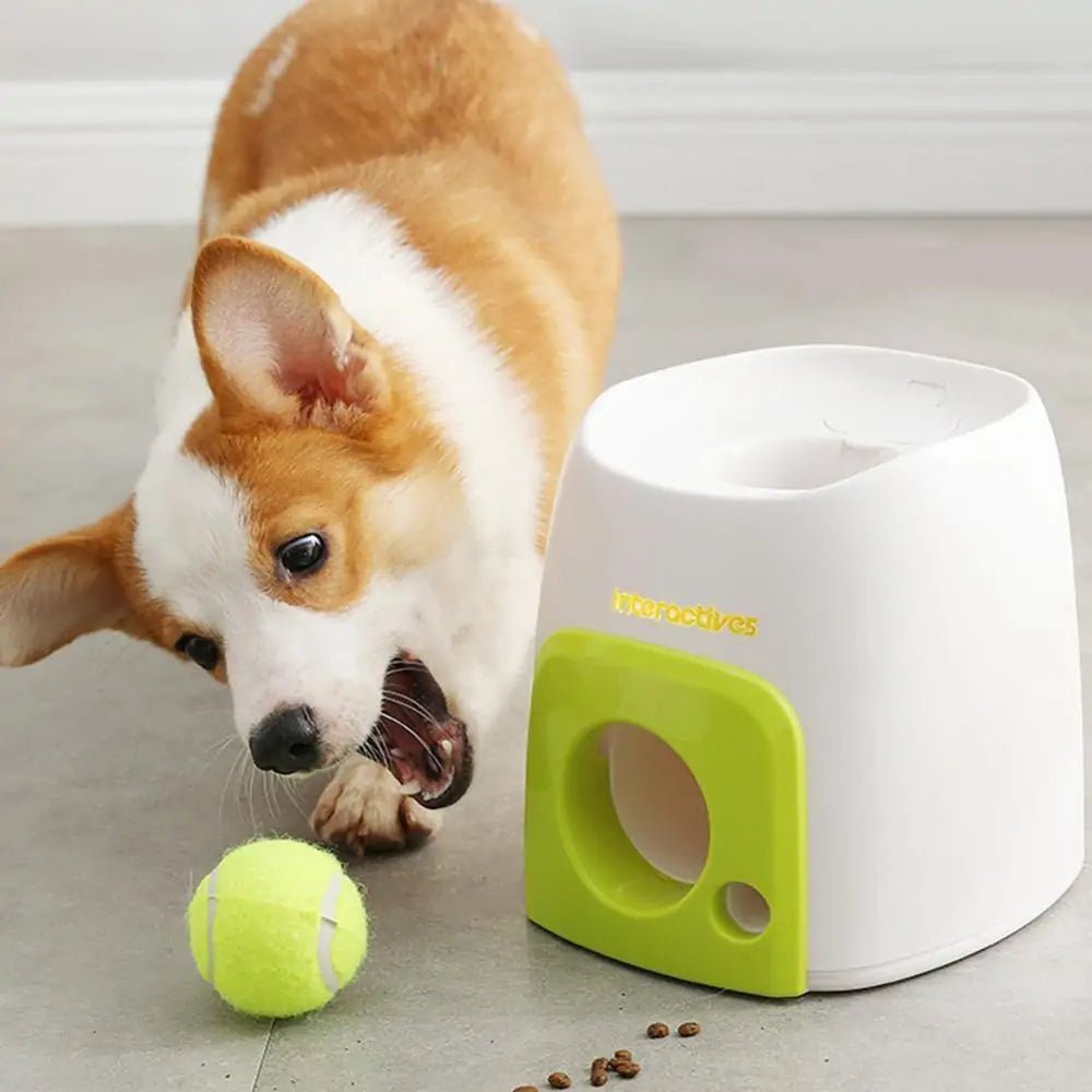 Get trendy with Automatic Interactive Pet Tennis Ball Ejector - Pet Accessory available at Hot Trends Online. Shop Now!