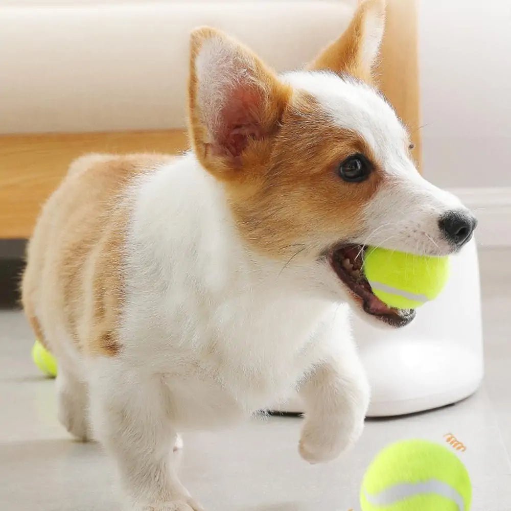 Get trendy with Automatic Interactive Pet Tennis Ball Ejector - Pet Accessory available at Hot Trends Online. Shop Now!