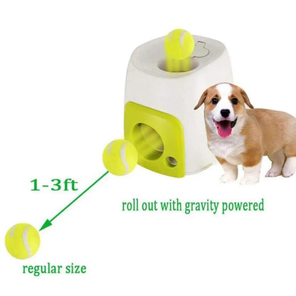 Get trendy with Automatic Interactive Pet Tennis Ball Ejector - Pet Accessory available at Hot Trends Online. Shop Now!