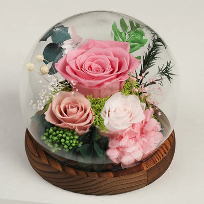 Glass Cover Dried Flower Ornament Gift