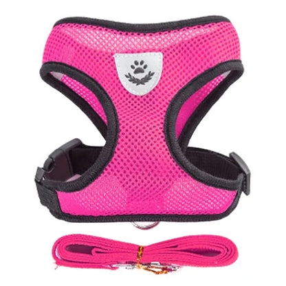 Get trendy with Pet Harness - Pet Accessory available at Hot Trends Online. Shop Now!