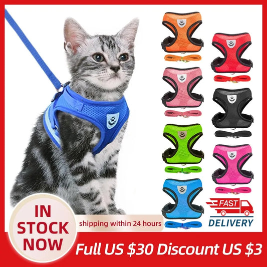 Pet Harness - Hot Trends Online